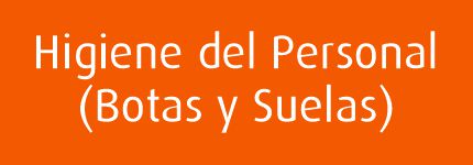Limpieza de Botas y Suelas