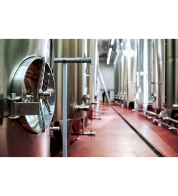 Fermentadores vino